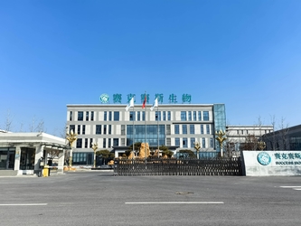 Shandong Saikesaisi Hydrogen Energy Co., Ltd üreticinin üretim hattı