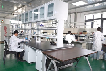 Shandong Saikesaisi Hydrogen Energy Co., Ltd üreticinin üretim hattı