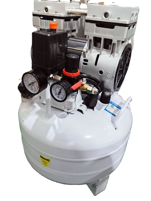 QL-40 Beyaz Laboratuvar Hava Jeneratörü Laboratuvar için 40LPM 26KG